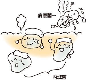 高温で活性化する内城菌イメージ
