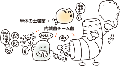 バランスのとれた土壌菌の集合体イメージ