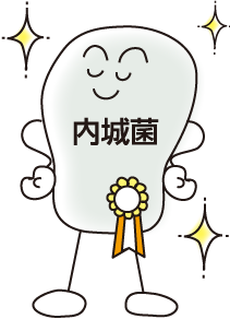 内城菌イメージ
