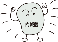 内城菌のイラスト